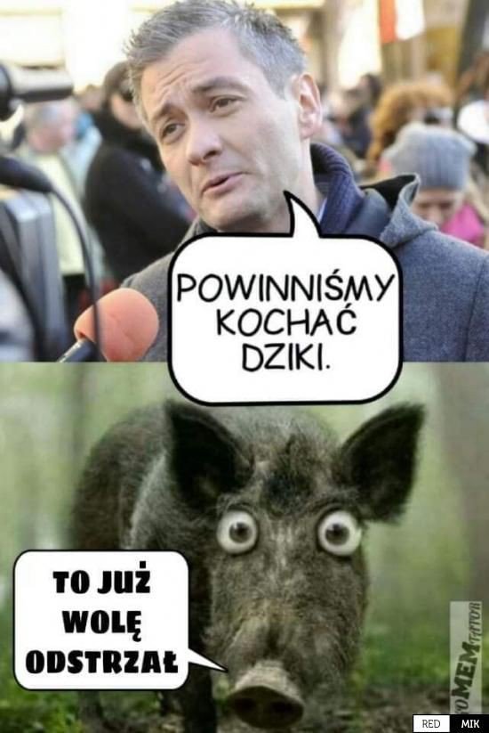 jarekmp's tweet photo. @michalrachon Pojadę klasykiem... https://t.co/c5p3w6zH3S