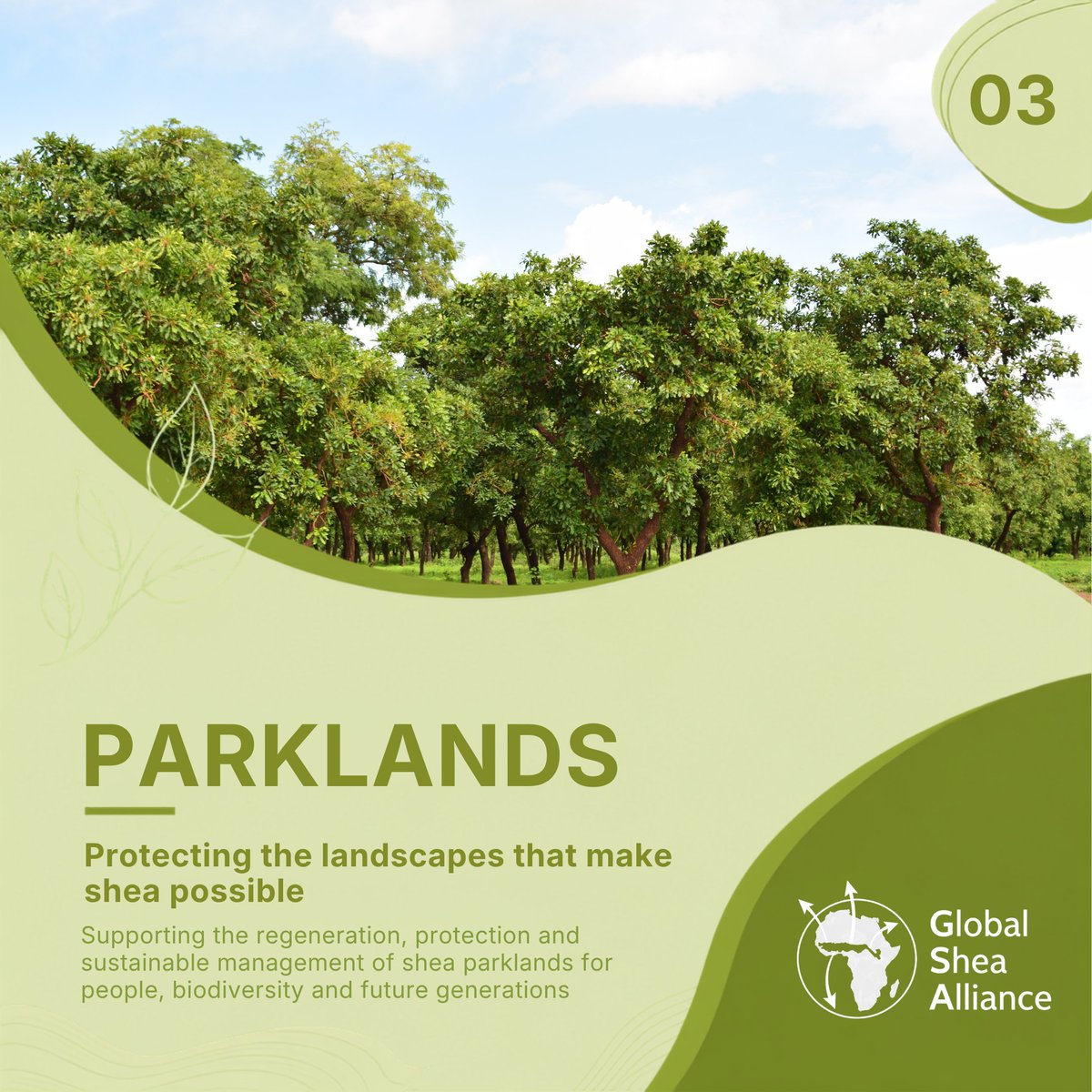 globalsheaa's tweet photo. Sustainability isn't one thing.

It’s about people. Landscapes. Markets. Quality. Resilience.

GSA’s Sustainability Programme brings these pieces together to help build a more prosperous and sustainable shea ecosystem.

#GlobalSheaAlliance #SustainableShea #SheaConservation https://t.co/juISHLSMQL