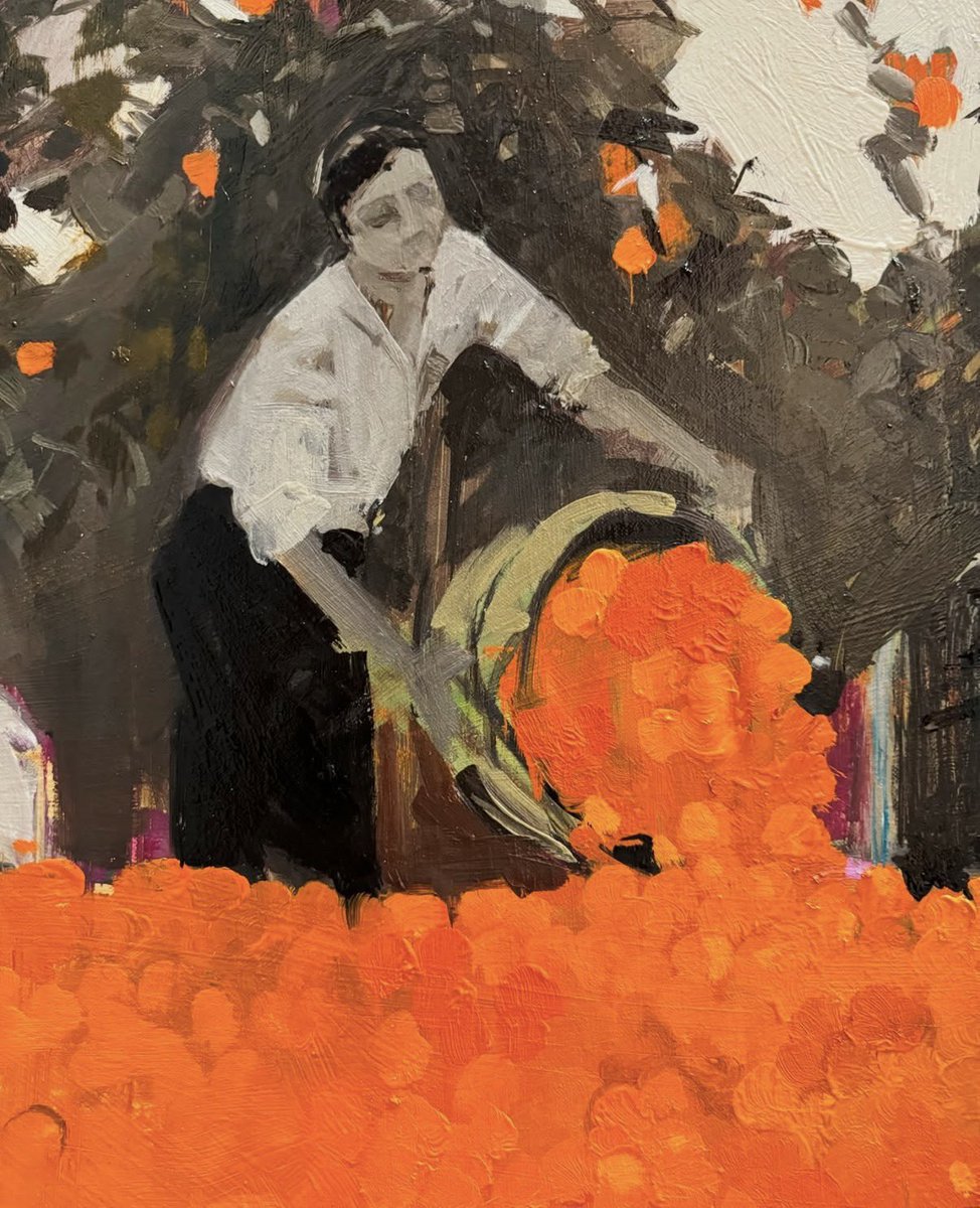 aseelswaid9's tweet photo. Orange harvest in Jaffa, Palestine https://t.co/xOv3s3Kyyj