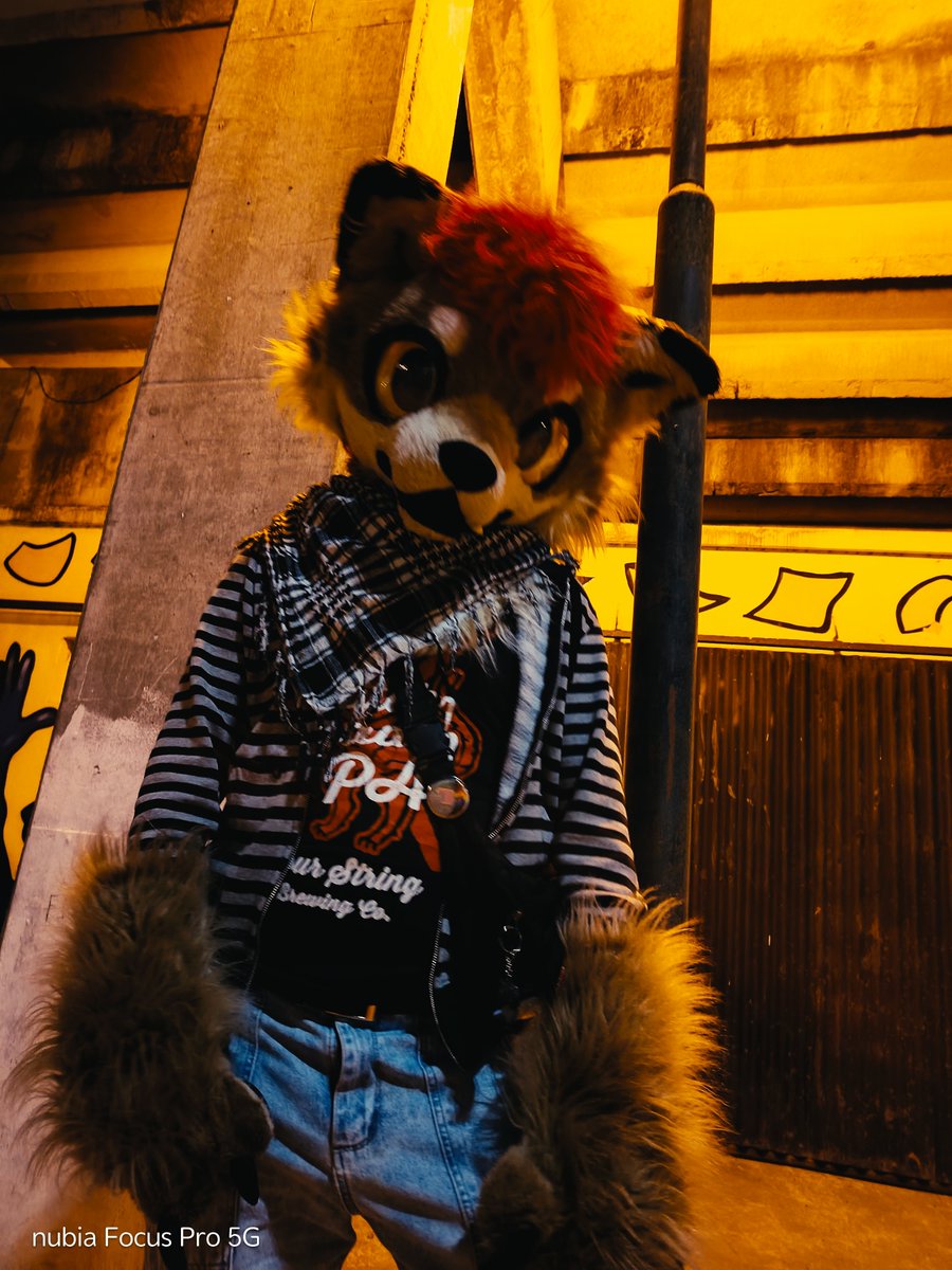 YoteAndree's tweet photo. Heyyoo!!

#furry #fursuit #furrycoyote https://t.co/lRytjdTtVf