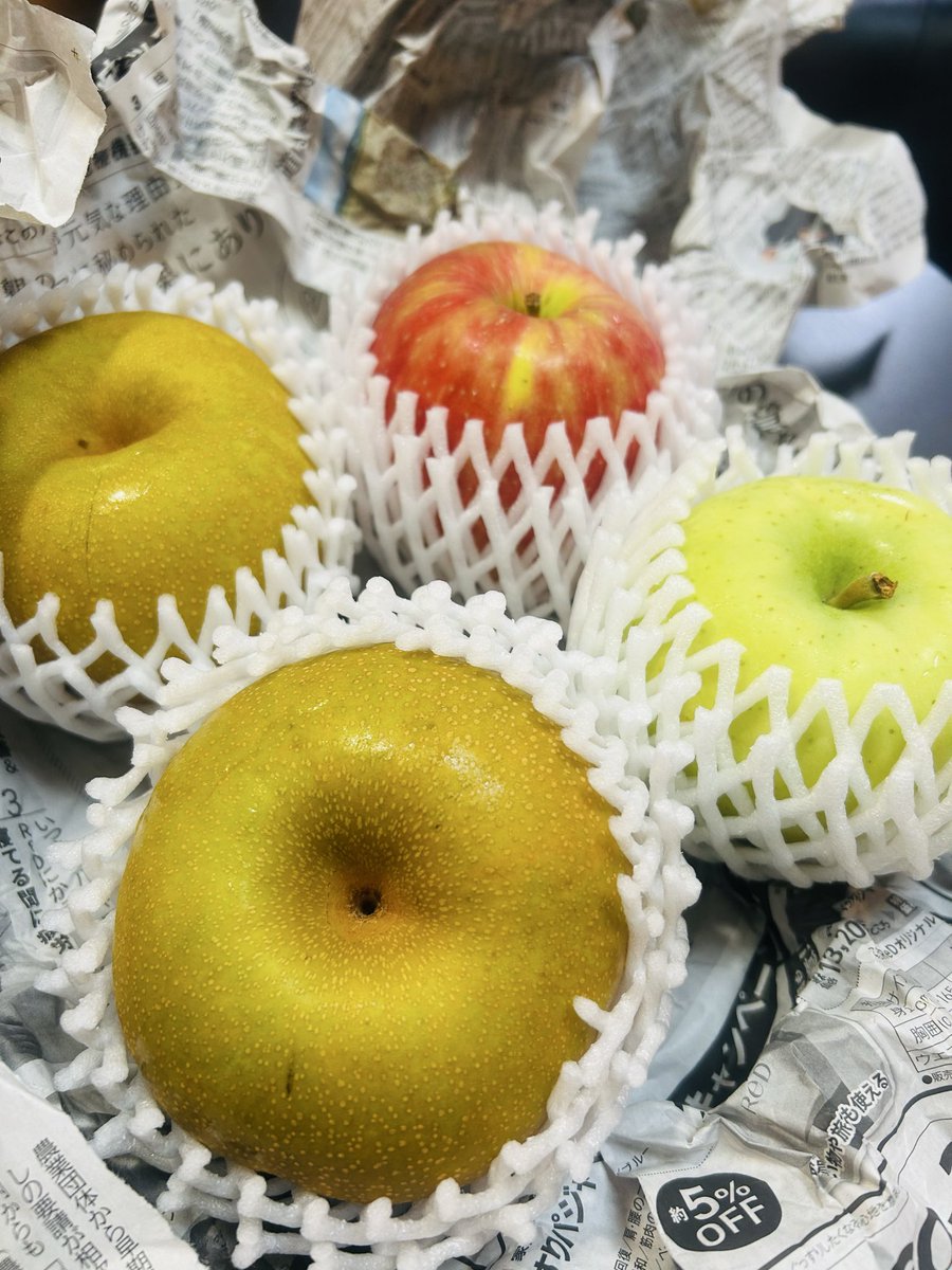 pokkuru1209's tweet photo. 【仕送り部】北海道の実家から庭の野菜と立派な果物が届いた!!!!!やっぱり北海道の野菜は味が濃くて美味しい😋💜　#野菜が美味しい　#北海道 https://t.co/7m2wX16onk