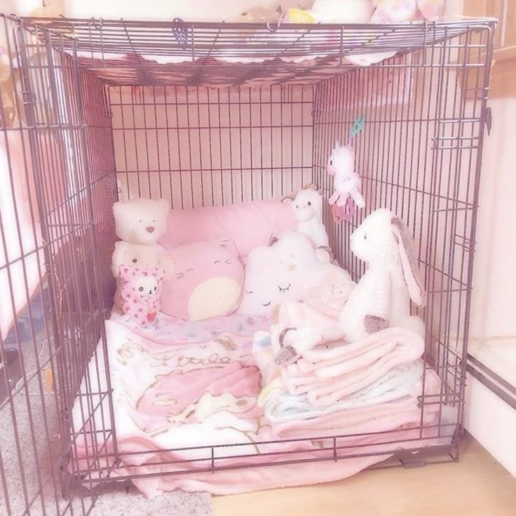 mewd0ll1's tweet photo. favourite spot other than dadas lap ✩°｡⋆⸜(ू˙꒳ ˙ ) https://t.co/P8RfTmEVgw