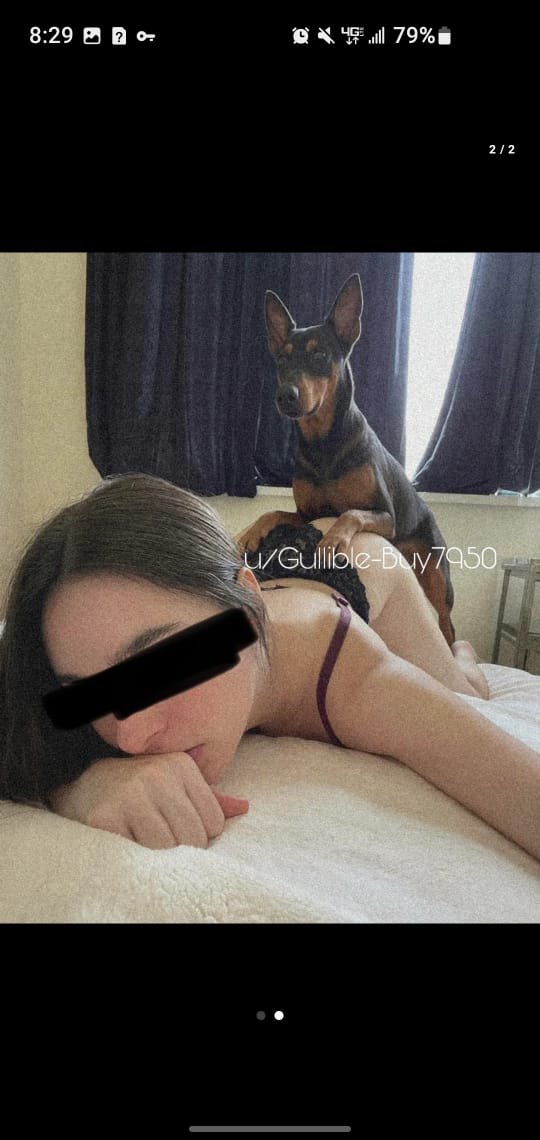d_dasok's tweet photo. #k9girl #beastiality #dogknot #nsfw #artofzoo #dogknotting  #zoophilia #kinkymood #k9girl #bigtits #DallasCowboys  #viral #usa #usafreaks #uk #USTMBT #Canadá #zoo #gay #trans #beastiality 
Watch my Dog Creampie me so good💦💦🥵
Add up on Telegram 👇👇
📥https://t.co/28ykG5ftCS📥 https://t.co/QVD8fM2Sa9