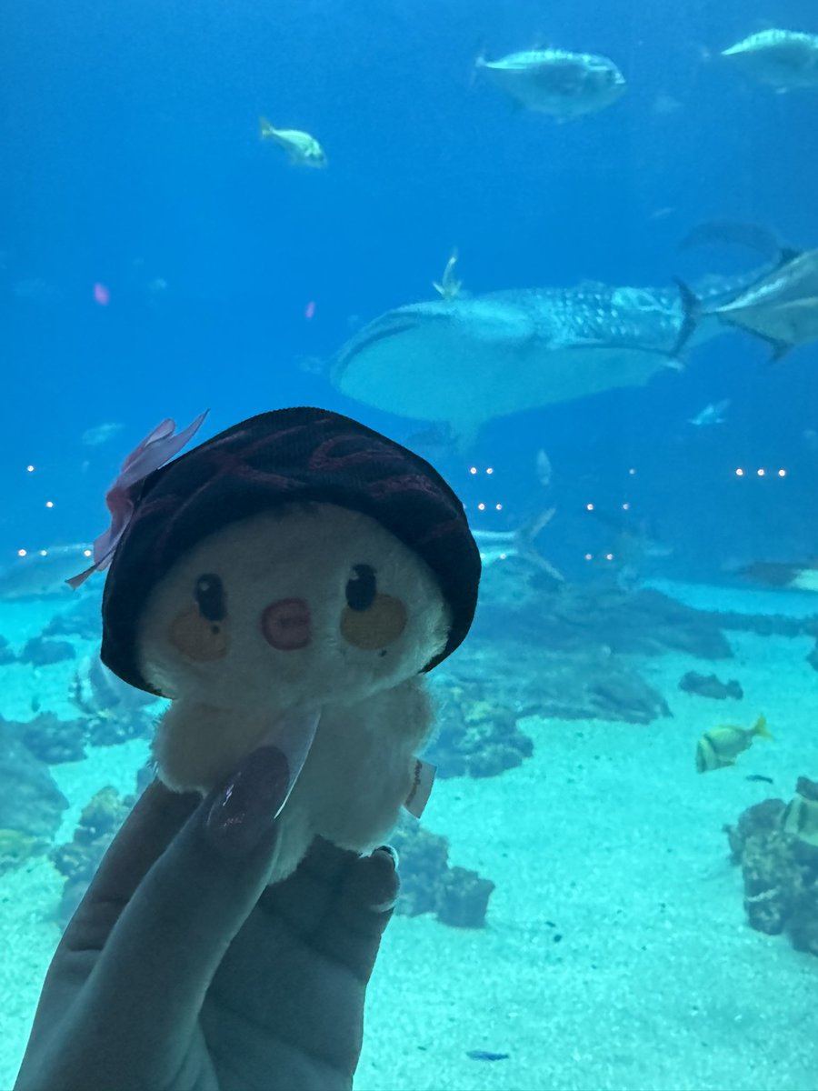 onlyfixon's tweet photo. 기🦈윤🐠빈🍀 https://t.co/iXhCINIY5h