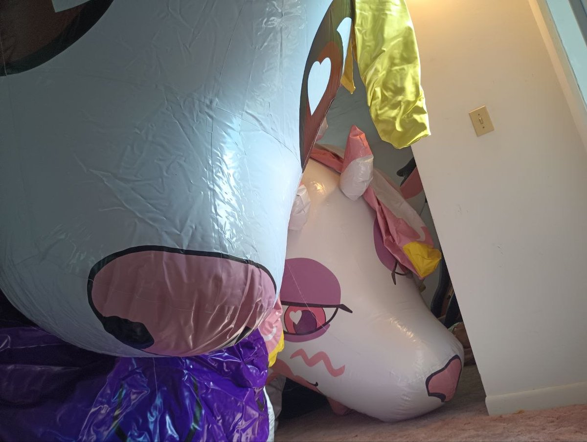Distendedpoly's tweet photo. Panorama view doesn't really do justice on how insane these two bubble foxes are. Couldn't inflate any more without risking the house @.@ https://t.co/oedTJlWD8y