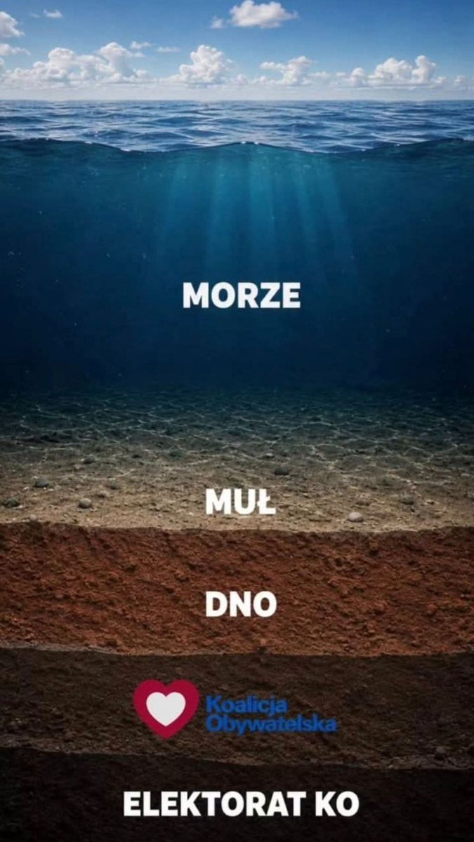 przyby_piotr's tweet photo. Poniżej dna musi być tylko i wyłącznie koalicja Tuska.
Macie jakieś wątpliwości,bo ja nie. https://t.co/lvMAfBklrP