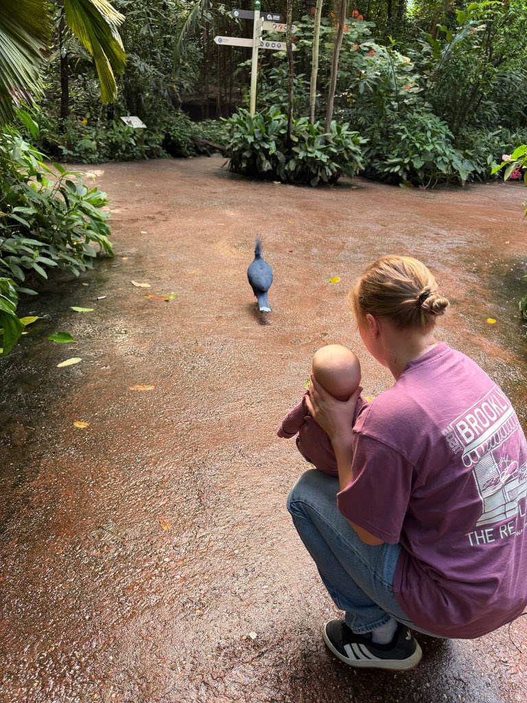 sunshineslucy's tweet photo. Navy loved her first zoo visit the other day🥺🥰 https://t.co/LEIvV7Fofb