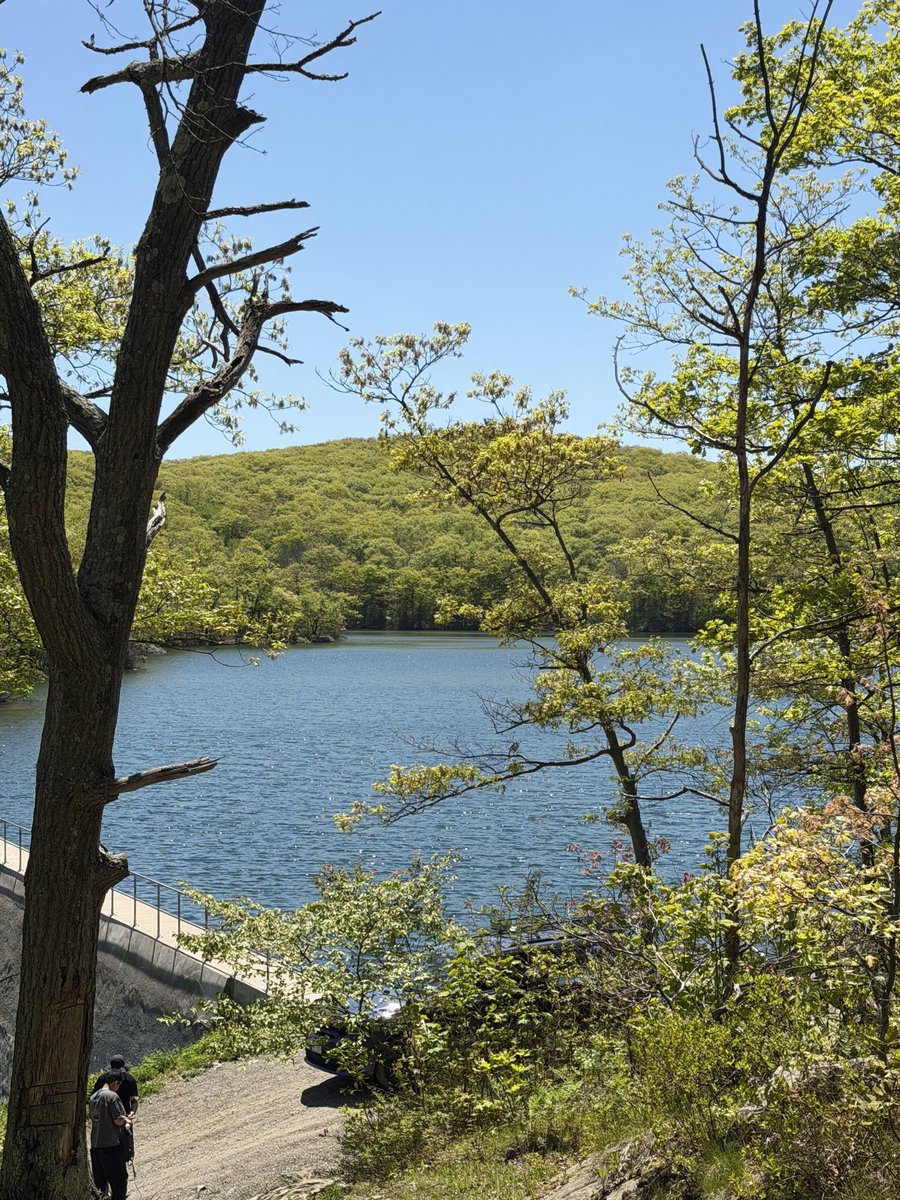 Calliope_AngelQ's tweet photo. Afternoon hike outside New York, Trading skyscrapers for mountain views, busy streets for peaceful trails. https://t.co/ahHg7qFMqd