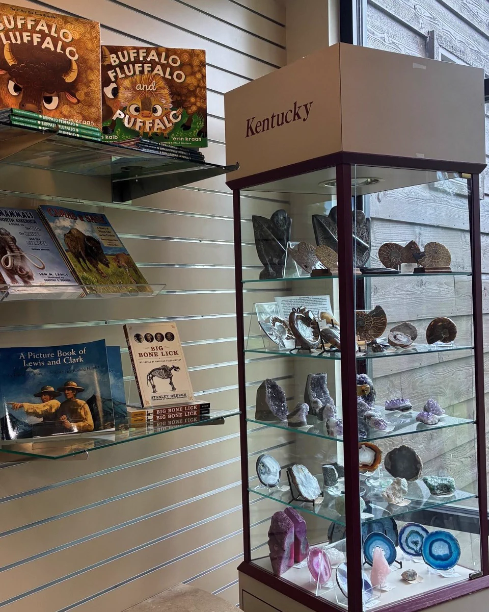 A display in a store features a Kentucky-themed glass cabinet filled with various geological specimens. To the left, there are shelves with books, including titles like "Buffalo Buffalo" and "A Picture Book of Lewis and Clark."