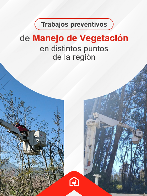 Chilquinta600's tweet photo. #ChilquintaInforma: Nuestros equipos técnicos realizan labores de manejo de vegetación en distintas comunas: #LlayLlay, #VillaAlemana y #Quilpué, efectuando podas y despeje técnico en sectores próximos a la infraestructura eléctrica. https://t.co/bByRsulCi4