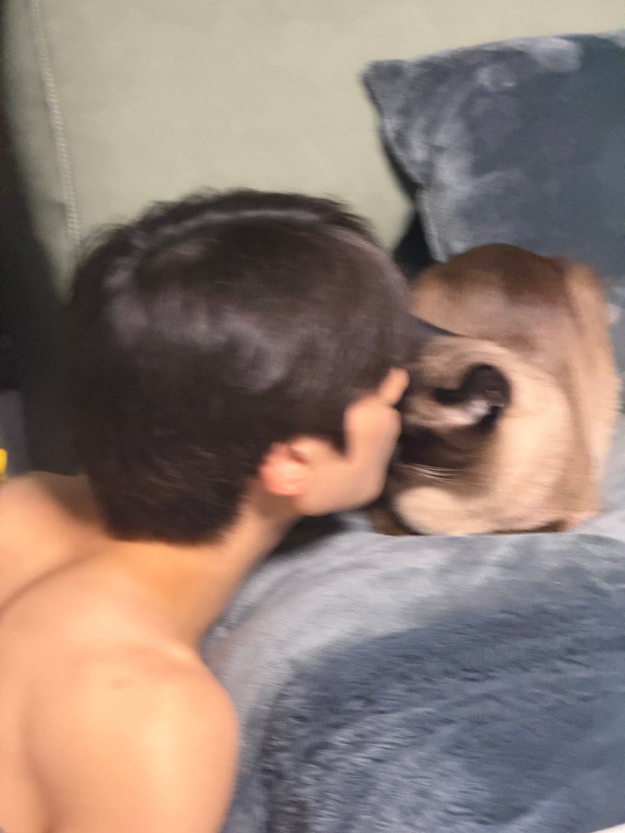 jellymintts's tweet photo. 🦊: gia is so cute whenever he just stares at me so I have to give him a kiss

🧸: my boyfriend is so cute whenever he gives gia a kiss so I have to take a pic of him https://t.co/lZDjbQxwTM