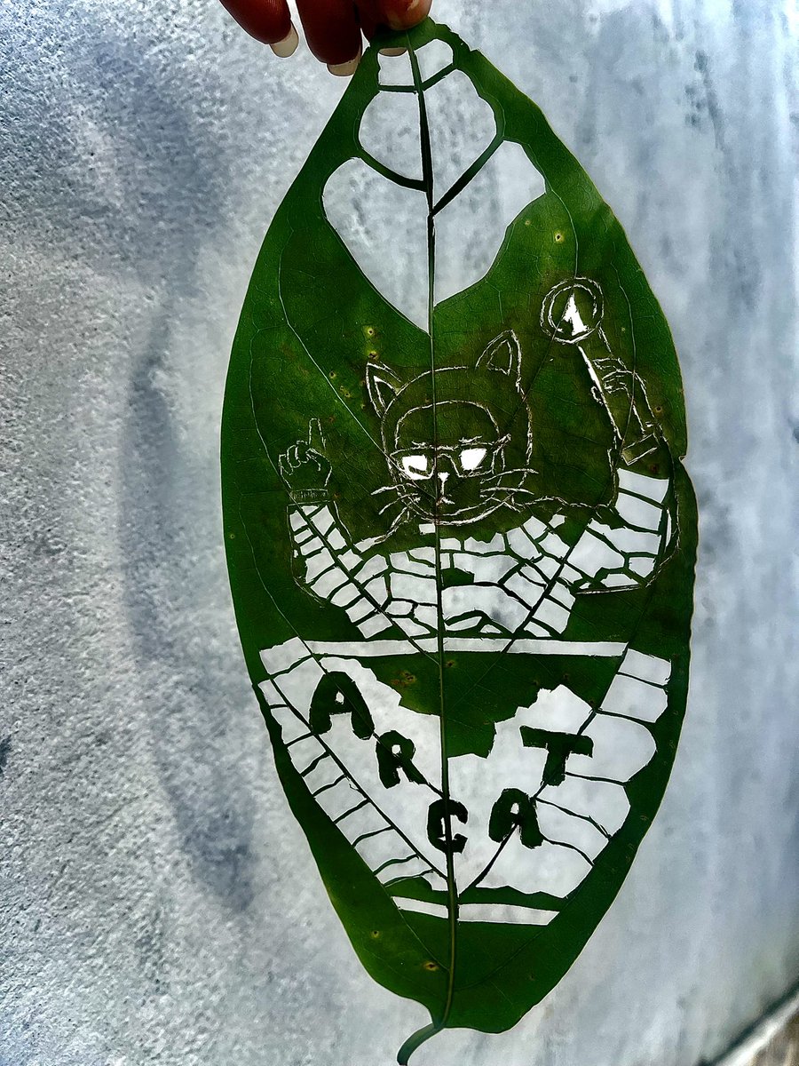 Hustle1079's tweet photo. Here’s my entry for the ARCAT art contest. @DYORSWAPDEX and @arcat_meme 
ARCAT is fast becoming one of the leading projects on the arc chain. Cant wait to see what they’re cooking next https://t.co/ARGPicQgBY