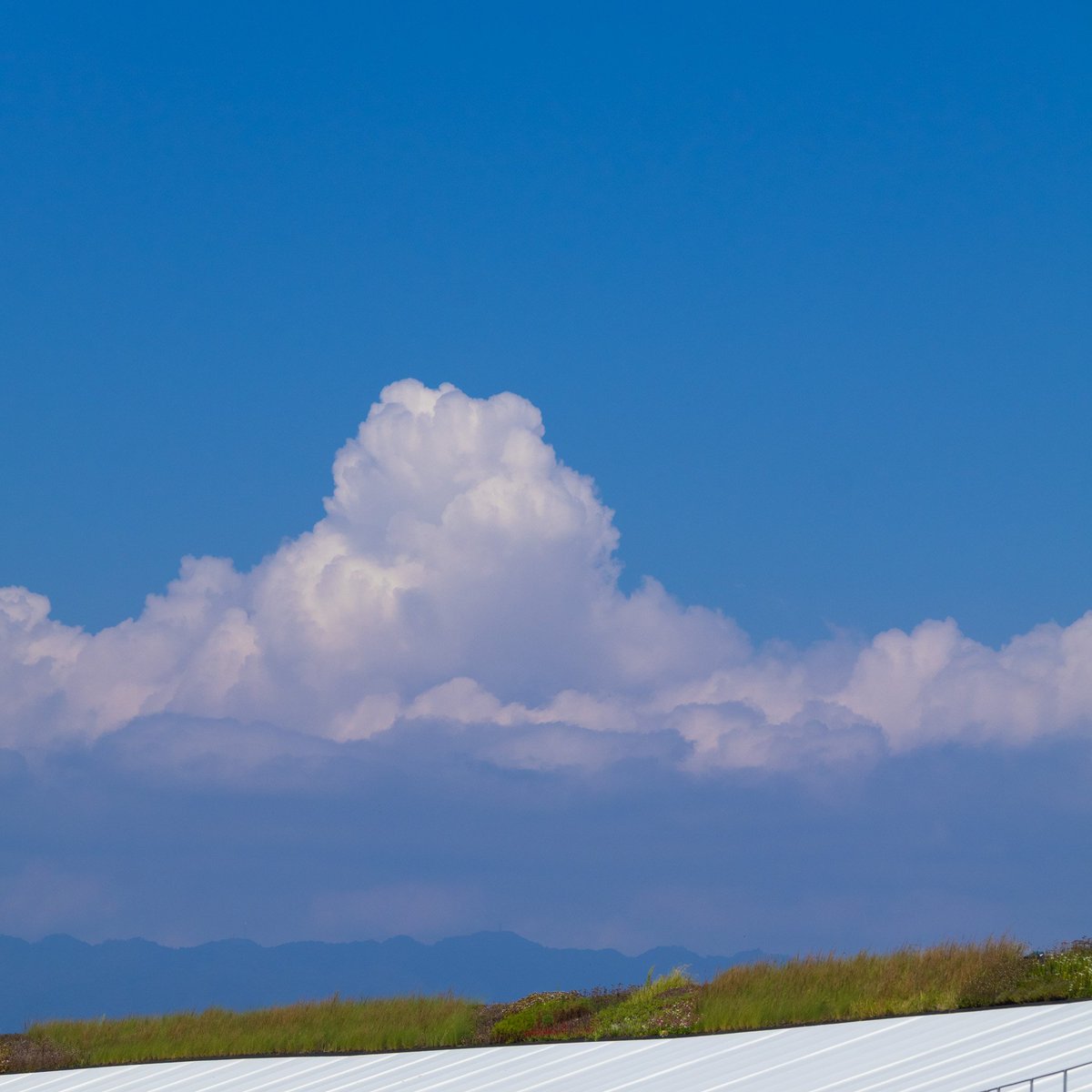 OUEPhotoclub's tweet photo. 【夏のSNS展示会】
『雲』

「熱い夏の雲」

3回生/さと
Location:大阪万博
Camera:CANON R50

#夏のSNS展示会
#展示会
#大阪経済大学
#写真部 https://t.co/nocnzTQNc2