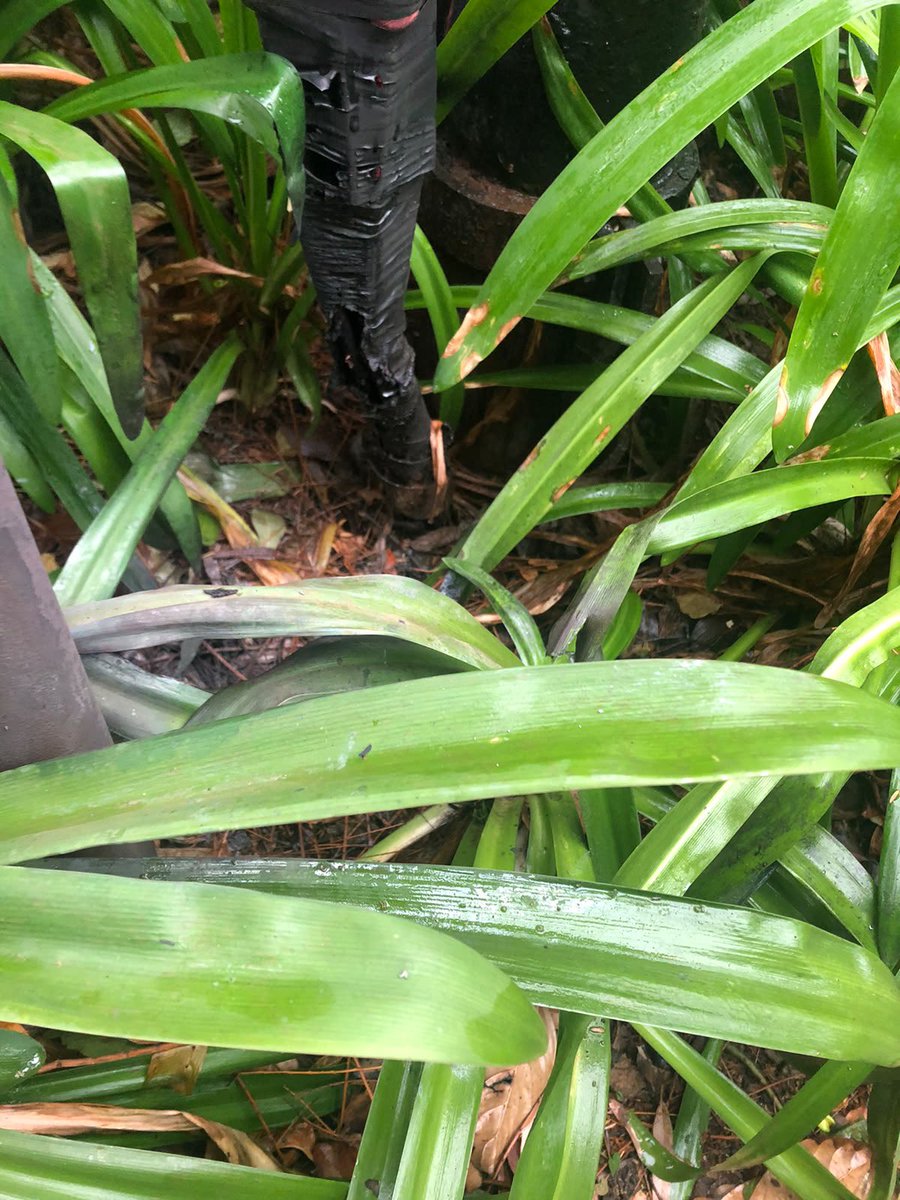 ingenaude's tweet photo. @CityPowerJhb no electricity in greenside. Its been 2 days no assistance Reference No: CPWEB5164512. Previous repair with duck tape!! @CityPowerJhb https://t.co/VlTpn57xOt
