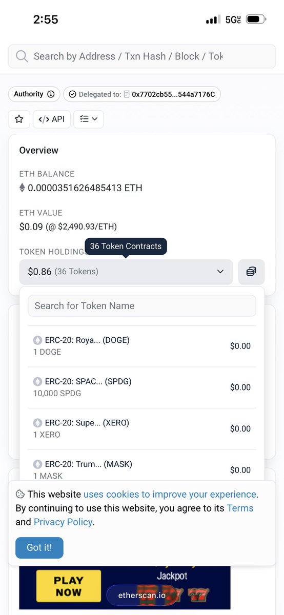spacedogexyz's tweet photo. @dyel2809 Please kindly look at at inside the wallet Spdg 10k https://t.co/EjUPbEtYLP