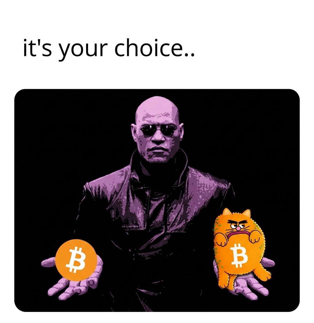 Bitcoin_Cat_Pf's tweet photo. Everyone is looking for the next cat to run.

Meanwhile $BITCAT is sitting right there.

Bitcoin + Cat = $BITCAT

You either see the narrative early or chase it later. 

8k1v2Hq67fSM7FDgBnde8z2Nokxf98xa8FDsVWS5pump https://t.co/PKKUMqViNP