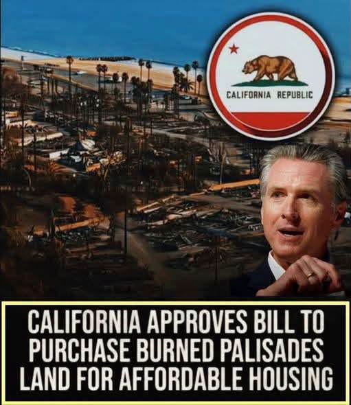 wdunlap's tweet photo. And now you know why the homeowners never got their aid raised for them, why California made it nearly impossible to rebuild, and LA was unprepared for fires... https://t.co/HiuL8Mhojq