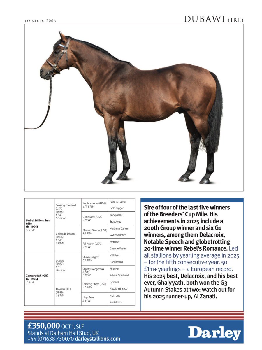 weatherbysltd's tweet photo. An updated pedigree for Maho Bay who won the Group 3 Weatherbys Global Stallions App Winter Hill Stakes @WindsorRaces this afternoon .

The @godolphin homebred is by Dubawi @DarleyEurope out of the Grade 1-winner  La Pelosa who was also twice Group placed - including in the Group 3 Albany Stakes at Royal Ascot (pic).
La Pelosa is also the dam of Graded-placed Cavallo Bay.