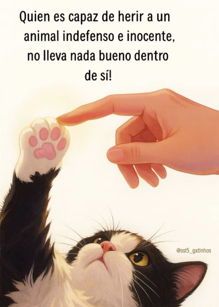 gracon27's tweet photo. 🐾😿 https://t.co/buG0zSfoMu