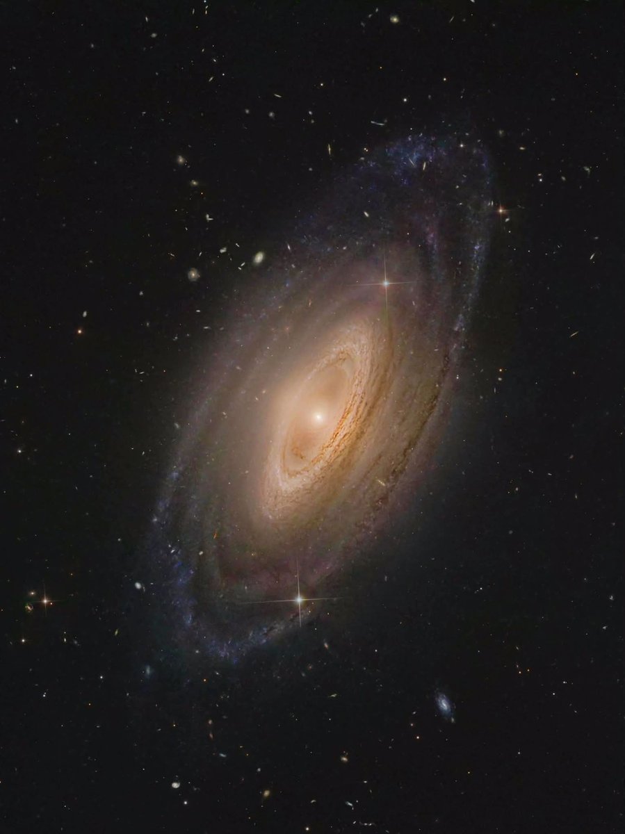 konstructivizm's tweet photo. NGC 4698 looks like it has its life together.

Out in Virgo, 73 million light-years away, it sits as a clean lenticular disk — smooth, composed, no messy spiral arms tearing at the edges. Eighty-five thousand light-years across, only a little smaller than the Milky Way. From a distance it could pass for a finished thought.

Then you check the spin.

The outer disk turns one way. The heart of the galaxy turns the other. Like a top whose core decided to revolt against its own rim. Stars in the center stream against the current of everything surrounding them.

Galaxies don’t do that by accident. The only story that fits is a collision — two systems meeting, one sinking into the other, angular momentum left twisted and unfinished. The calm face is a lie. Underneath, the merger is still written in the rotation.

A quiet-looking galaxy with a civil war in its core. That’s NGC 4698.