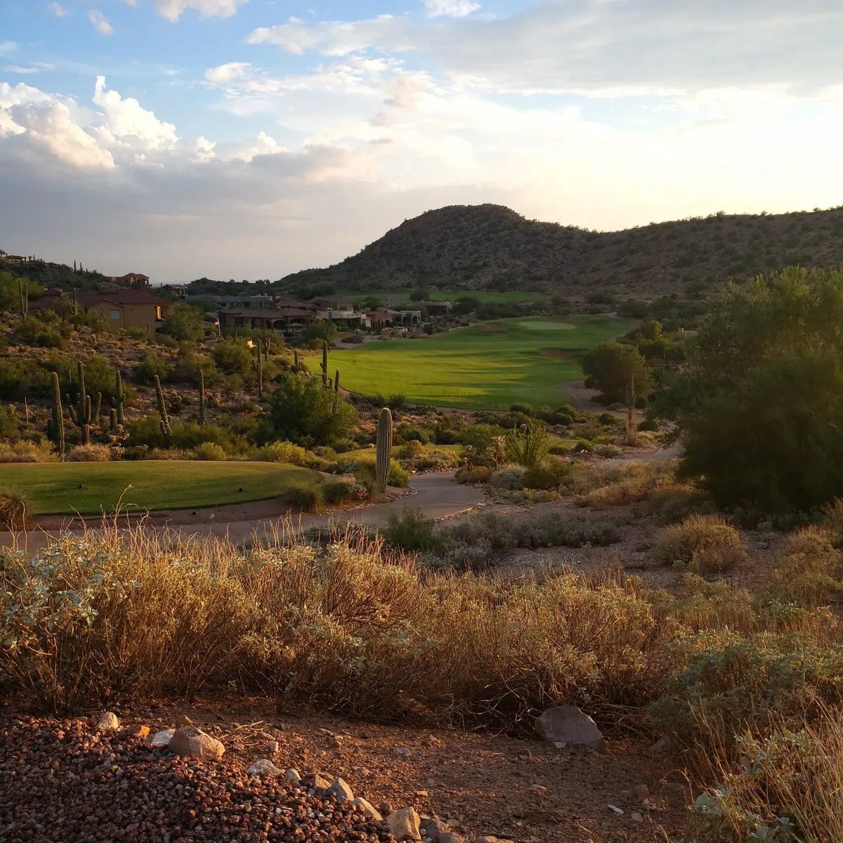 LisaLongball's tweet photo. 🚨 Spots Available in the @LisaLongball Golf School in #Orlando & #Phoenix! 🚨 

I recently launched my Orlando🌴 & Phoenix🌵golf schools for Winter 2027! Come with your girlfriend or come on your OWN! More than half the ladies come as a single! Everyone leaves with new, fun, fantastic golf girlfriends! ⛳️ All areas of the game will be covered including:
⛳️Putting 
⛳️Chipping
⛳️Pitching
⛳️Full Swing
⛳️Sand
⛳️ On Course Playing Lessons 

There are spots available in the following schools:

🌴 Orlando - February 13-15, 2027
🌵Phoenix - March 15-17, 2027
🌵Phoenix - April 5-7, 2027 

To sign up, click this link:

🌴 Orlando:
https://t.co/KWipsSCSPE

🌵 Phoenix:
https://t.co/vVo5gfcKKL

The following Schools have Sold Out. 

🌴 Orlando - January 15-17, 2027
🌵 March 1-3, 2027

To be added to the Waitlist, to be notified if a spot in one of those schools become available, Click this Link:

https://t.co/mA1yyN1RSC

Can’t wait to work with you! ⛳️❤️