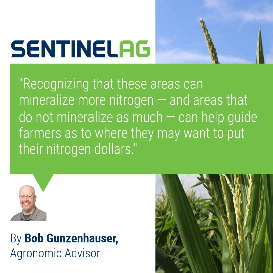 Sentinel_Ag's tweet photo. Silage data can reveal where extra N is making it into the plant. Know where your N is going before you spend more.
Read: https://t.co/uUe9lncyhB
@BobGunzy
#AgronomyTips #SentinelAg #SilageData #NitrogenManagement https://t.co/JB1pAuHDgd