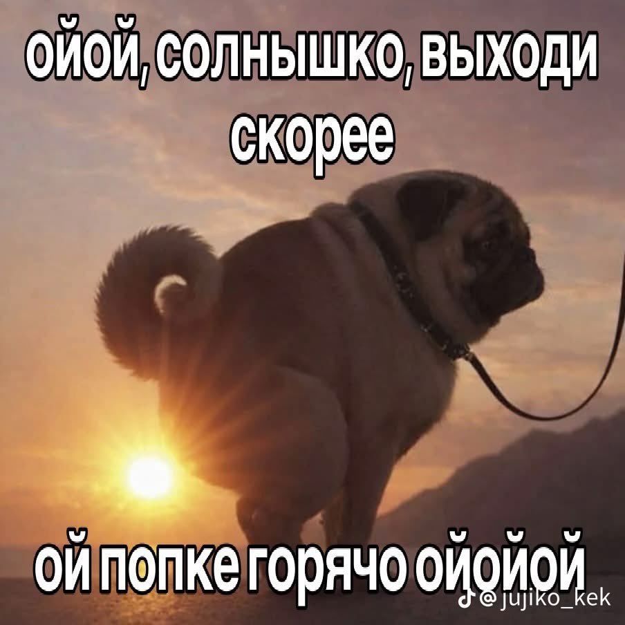 caymansha's tweet photo. го общаться только мемами под этим постом https://t.co/HVIizbEpqS