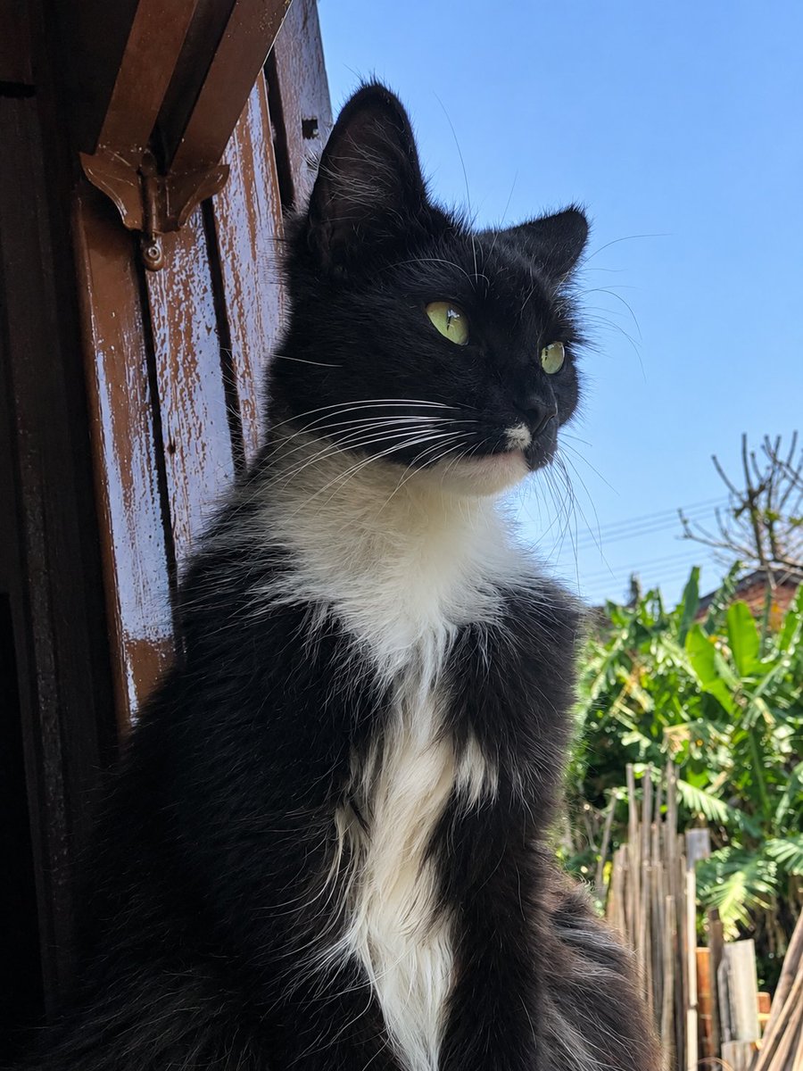 antoni0joao's tweet photo. Me perdoa, eu devia ter feito mais por você. Vou levar essa dor pra sempre https://t.co/oPWvLLA545