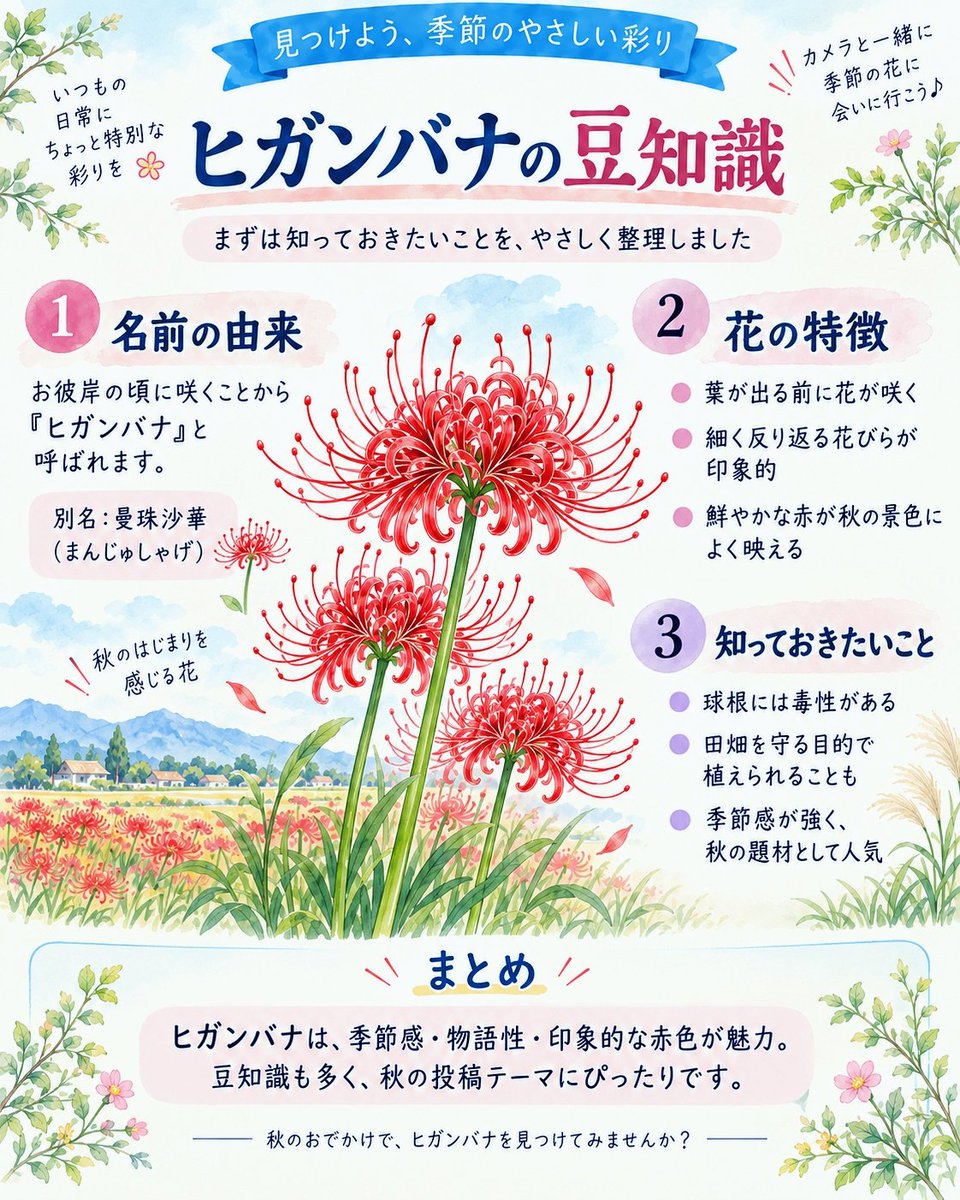 r_photolog's tweet photo. ▶この時期に知っておきたい秋のお花についてまとめました

・9月に楽しめるおすすめの花 
・ヒガンバナの名前の由来
 ・意外と知らないヒガンバナの特徴 
・写真でキレイに残す撮り方

カメラマンも、そうじゃない方も、知ってると季節の花がもっと楽しくなる豆知識です https://t.co/ORvCt4BTZ0