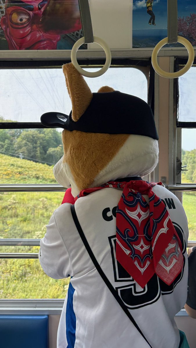 corgibow_OU's tweet photo. ロープウェイ🚠で山頂に行くのってやっはワクワクだよねー
( *´艸`)ウハハーッ!
#TENGUUFES
#おたる天狗山まつり
#小樽 #天狗山×#コギ坊
@otarutenguyama @Notte_0701 https://t.co/iSEhhDhN4A