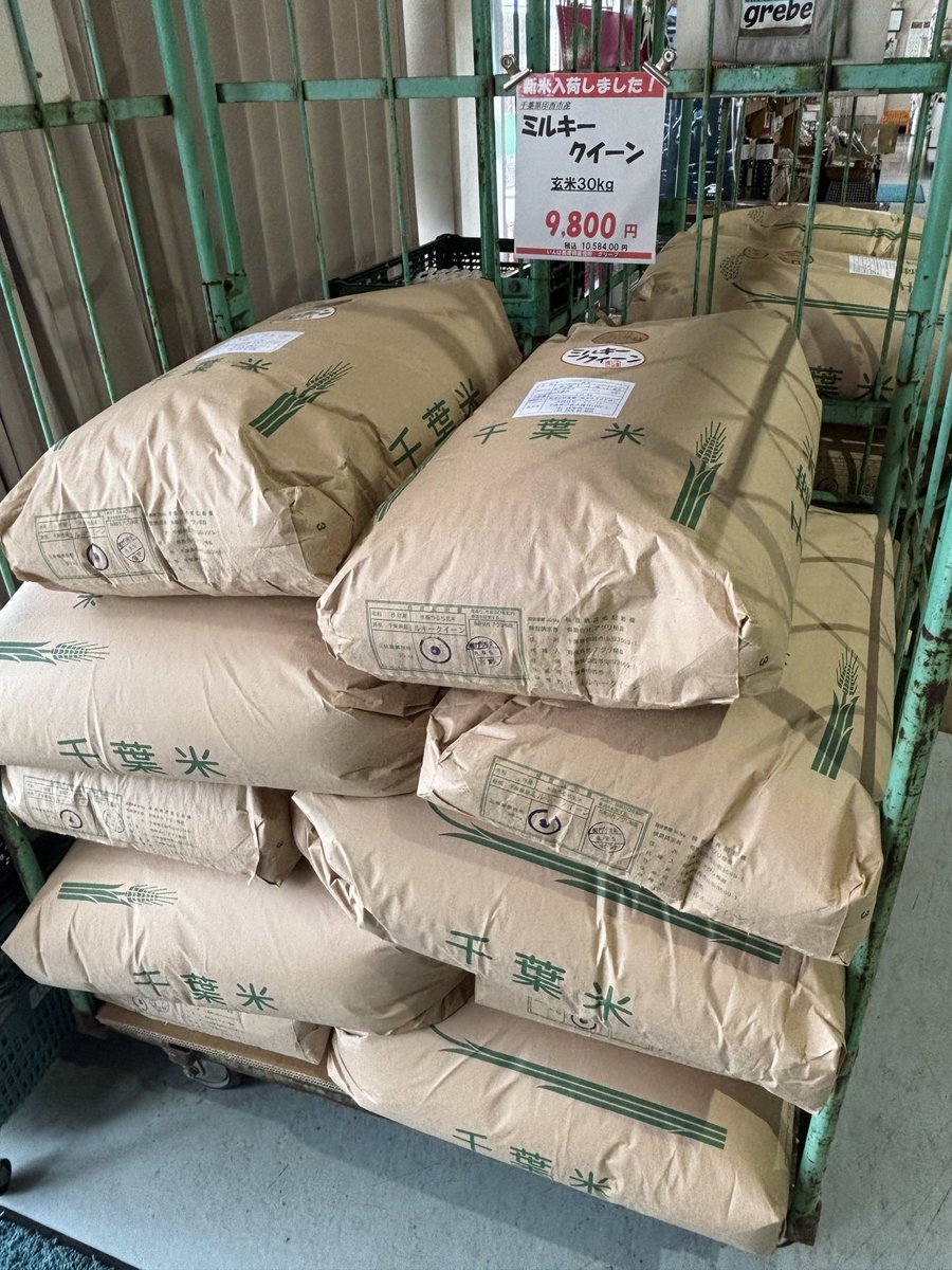 grebe_inzai's tweet photo. 🌾Ｒ8年度産の新米が入荷しました🌾

もちもち食感が人気のミルキークインが
日ごろのご愛好に感謝してお求めやすくなりました！！

この機会にぜひご賞味ください♪

#Ｒ8年度産新米　#千葉県産コシヒカリ　#千葉県産ミルキークイン　#印西市　#農産物直売所 https://t.co/7ecbsGIk1m