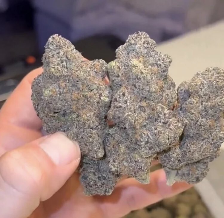SMOKERS_BUD's tweet photo. How much would you say? 🤔 https://t.co/VK01gILMiH