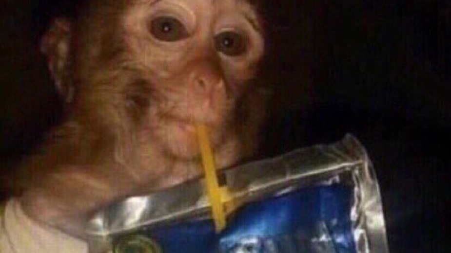 ShoVersus's tweet photo. @Fernand26973607 @Lisnovski Who tf even is your goofy ass? You're the one bothered by someone else's opinion on the internet. Lmaooo https://t.co/yHFqWFXNl5
