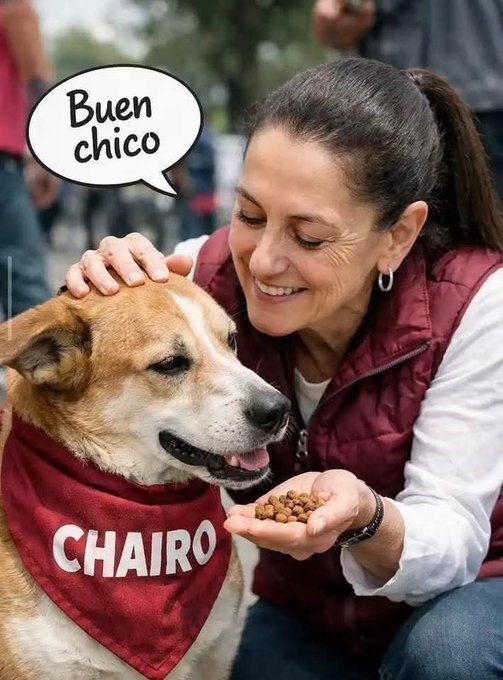charly300glz's tweet photo. @Moonlight_Blue4 Jajaja, como que me hago la pendeja jaja Ahora resulta. 😄😄 https://t.co/fT5kHxX5f5