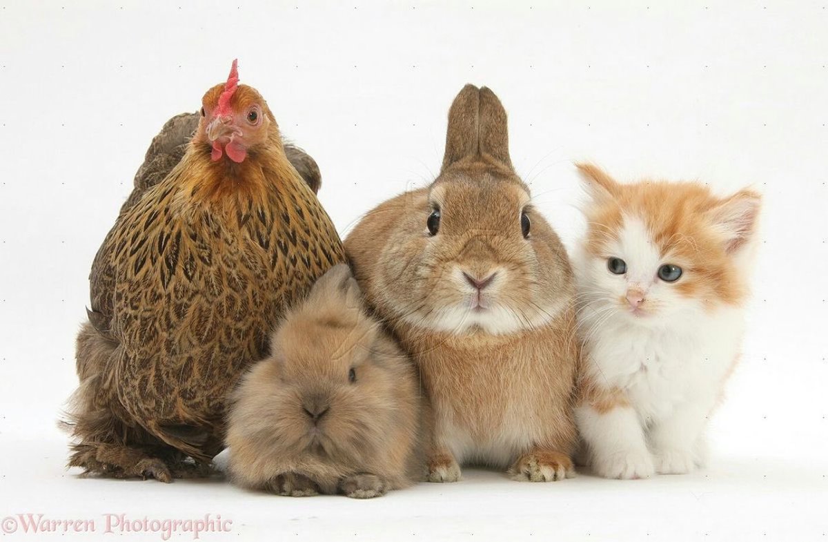 vvinhehe's tweet photo. me and my friends https://t.co/rhLrQO0avy