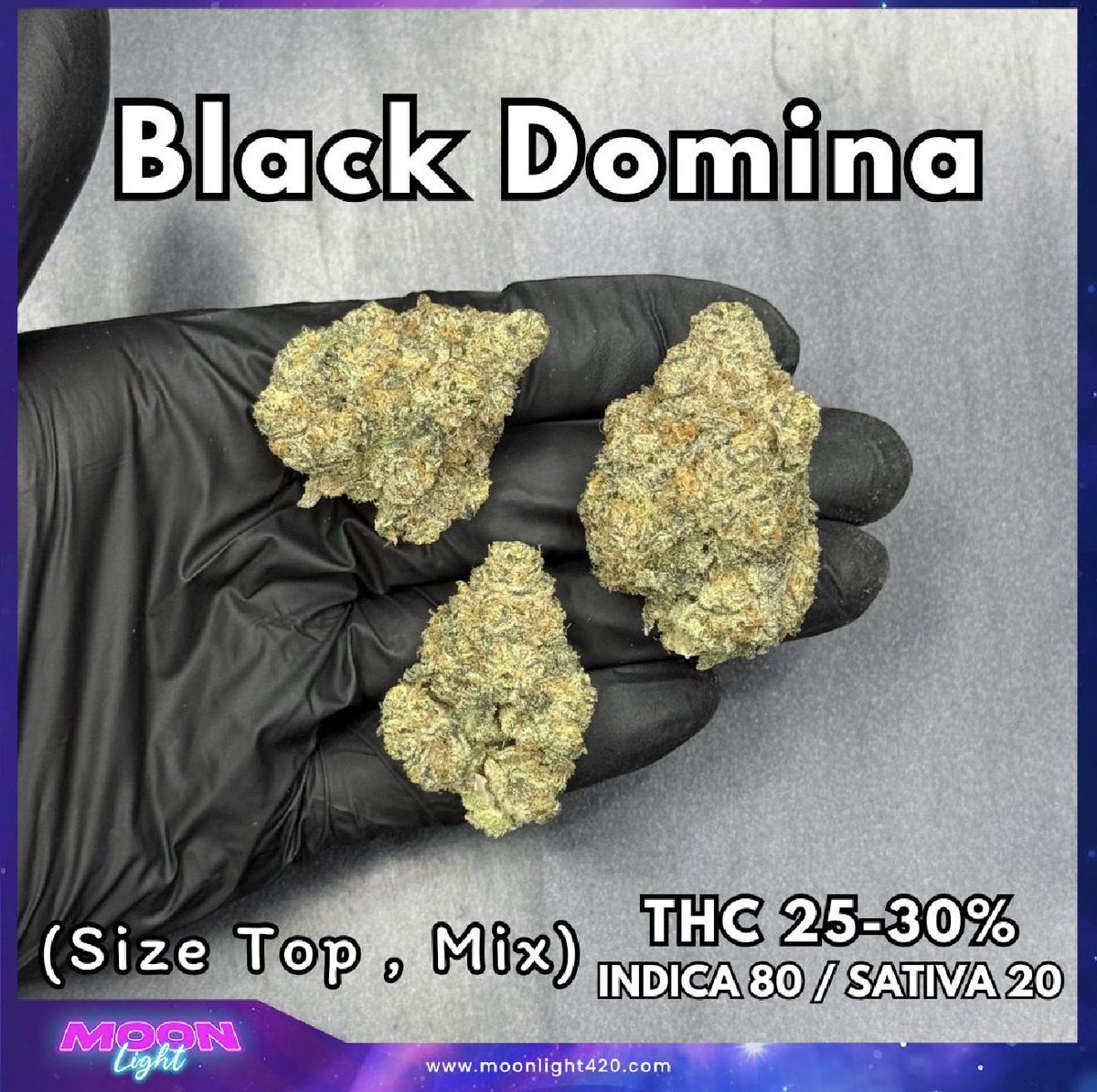 moonlight_thai's tweet photo. Black Domina 🔥

10g  = 300

เมนูhttps://t.co/pXBWXq2gab

#กัญชากรุงเทพ #กัญชาลาดพร้าว #กัญชาชลบุรี #กัญชารัชดา #กัญชารามคำแหง #กัญชาขอนแก่น #กัญชาเชียงใหม่ #กัญชานนทบุรี #กัญชาโคราช #กัญชาสระบุรี #กัญชาสระแก้ว #กัญชาเชียงราย #กัญชามีนบุรี #กัญชารังสิต #ใบทริม #กัญชาภูเก็ต https://t.co/zWttQGBiSw