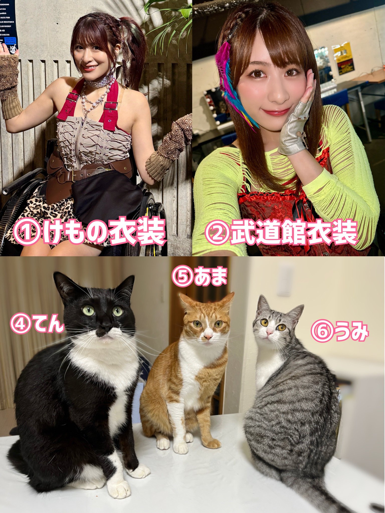 猪狩ともか🌻 on X: 