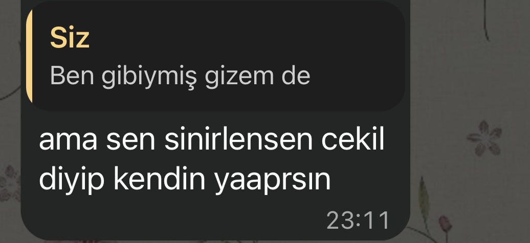 sedaytkn's tweet photo. Akrep burcu siniri geliyo arada https://t.co/TWNvEtFruF