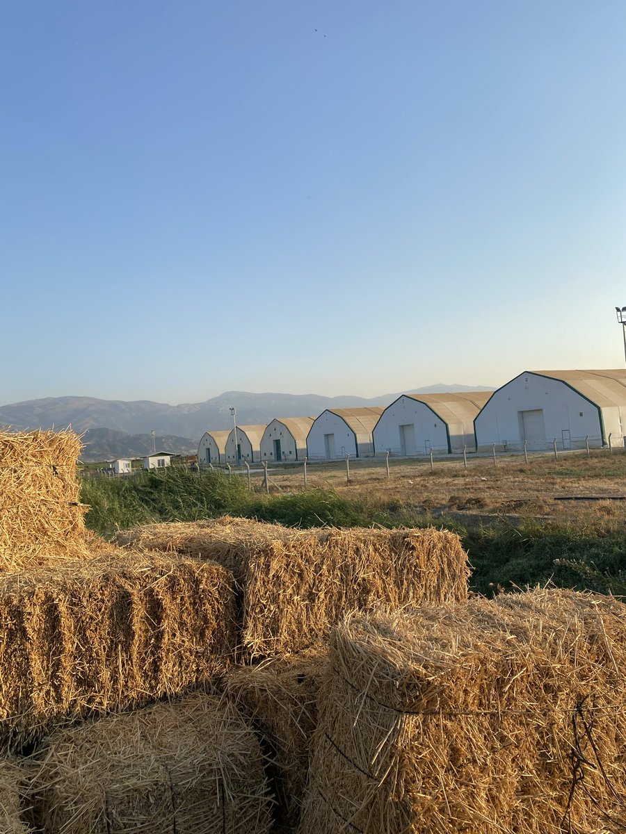 aysecnur's tweet photo. Ayasofyayla domatesler ne alâka bende bilmiyorum https://t.co/OMBLIk1loJ