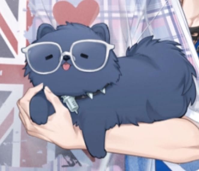 lethal4rtist's tweet photo. My allmate cant be this cute https://t.co/oXy3pzWGj0