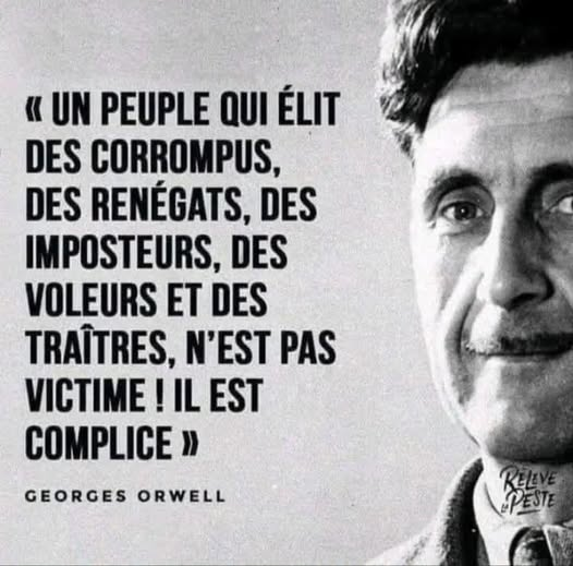 Mapi421's tweet photo. Que les électeurs qui votent pour les extrêmes, prenez 1 minute pour lire la phrase de Georges Orwell ⤵️⤵️ https://t.co/NeuDTZjoN9