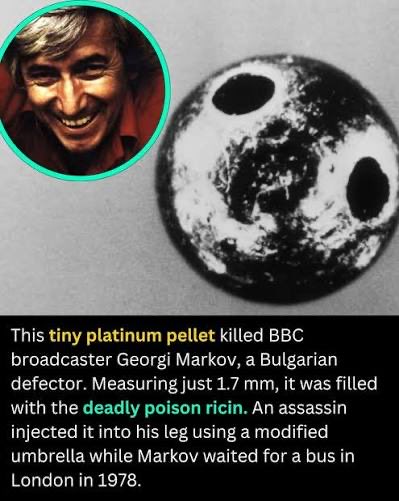 Media image