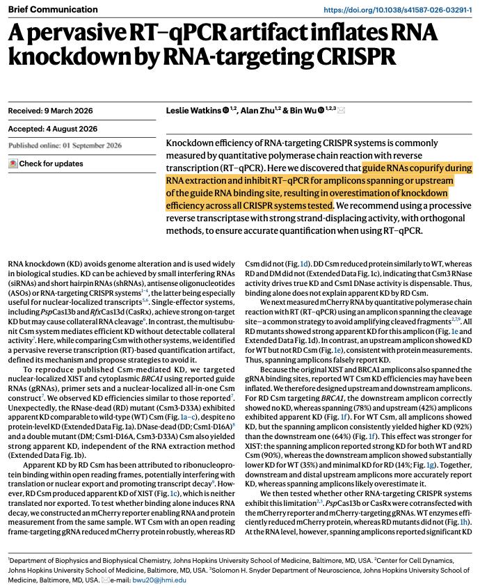 NikoMcCarty's tweet photo. This is a "detective story" paper that shows how setting up the right negative controls can lead to real discoveries.

Basically, the authors wanted to reproduce a published result showing that a specific CRISPR tool, called Csm, could chop up RNA molecules and lower their levels in a cell. They measured this with RT-qPCR, a common experiment that quantifies how much of a given RNA is present before and after the CRISPR knockdown.

When they went to reproduce this result, they found that Csm did reduce RNA levels. But a negative control, a mutated version of Csm that shouldn't be able to cut anything, also knocked down RNA by roughly the same amount. Weird!

So the authors started varying the experimental parameters to solve this dilemma. First, they tried different RNA extraction methods and tested several more CRISPR tools. They confirmed, too, that the mutant Csm couldn't cut RNA. The RT-qPCR results persisted anyway.

Second, they built an mCherry reporter to measure protein levels directly. Normal Csm reduced protein levels, which makes sense since it's cutting the RNA. Mutant Csm did not change protein levels at all. This was another good sign that the mutant Csm was producing some kind of artifact.

To figure out why, we need to talk about RT-qPCR. This is a method that, first, converts RNA into DNA using reverse transcriptase, an enzyme that builds a matching DNA copy. qPCR then counts how many DNA copies got made from a short stretch of that RNA, called an amplicon. More copies of DNA = more RNA was present at the start.

Normally, scientists place this amplicon so that it overlaps with the guide RNA's binding site, since that's the region expected to get cut. But with mutant Csm, an amplicon located at the guide RNA site showed false knockdowns. When the amplicon was moved to *before* the binding site, the artifact disappeared and RNA levels appeared unchanged.

Why was this happening?

The reason, oddly, was that the guide RNAs (without any protein!) were blocking reverse transcription, making it look like mutant Csm was reducing RNA levels. The researchers tested this by spiking synthetic guide RNA, made with no CRISPR protein at all, directly into the reverse transcription reaction. This reproduced the false knockdown.

If a guide RNA can bind a target without a CRISPR protein at all, then we should also see similar gene silencing in cells. Right? Well, no; it turns out guide RNAs break down quickly in cells unless a CRISPR protein binds and stabilizes them. The proteins protect the guide RNA.

So TL;DR: guide RNAs can bind a target and block reverse transcription in test tubes. This causes weird experimental artifacts and likely means dozens of CRISPR papers that used RT-qPCR are wrong, in either a minor or possibly major way.
