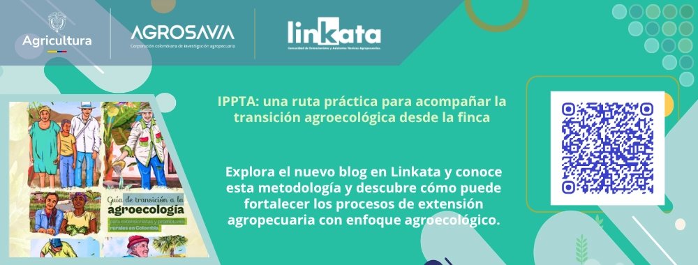 ATALinkata's tweet photo. 🌱 ¿Cómo acompañar la transición agroecológica desde la finca y junto con las familias?
El Instrumento de Planificación Predial para la Transición Agroecológica (IPPTA) ofrece una ruta práctica para que extensionistas, promotores y comunidades puedan diagnosticar, planificar y hacer seguimiento a los cambios necesarios para avanzar hacia sistemas productivos más sostenibles.
A través del recorrido de la finca, el mapeo participativo, el análisis de indicadores, la construcción de un plan de acción y el seguimiento de los avances, el IPPTA pone en el centro el diálogo de saberes, la participación familiar y las particularidades de cada territorio.
👉 Conoce esta metodología y descubre cómo puede fortalecer los procesos de extensión agropecuaria con enfoque agroecológico https://t.co/CjBiyCTMSQ
#Linkata #ExtensiónAgropecuaria #Agroecología #IPPTA #TransiciónAgroecológica #DiálogoDeSaberes #DesarrolloRural #AgriculturaFamiliar