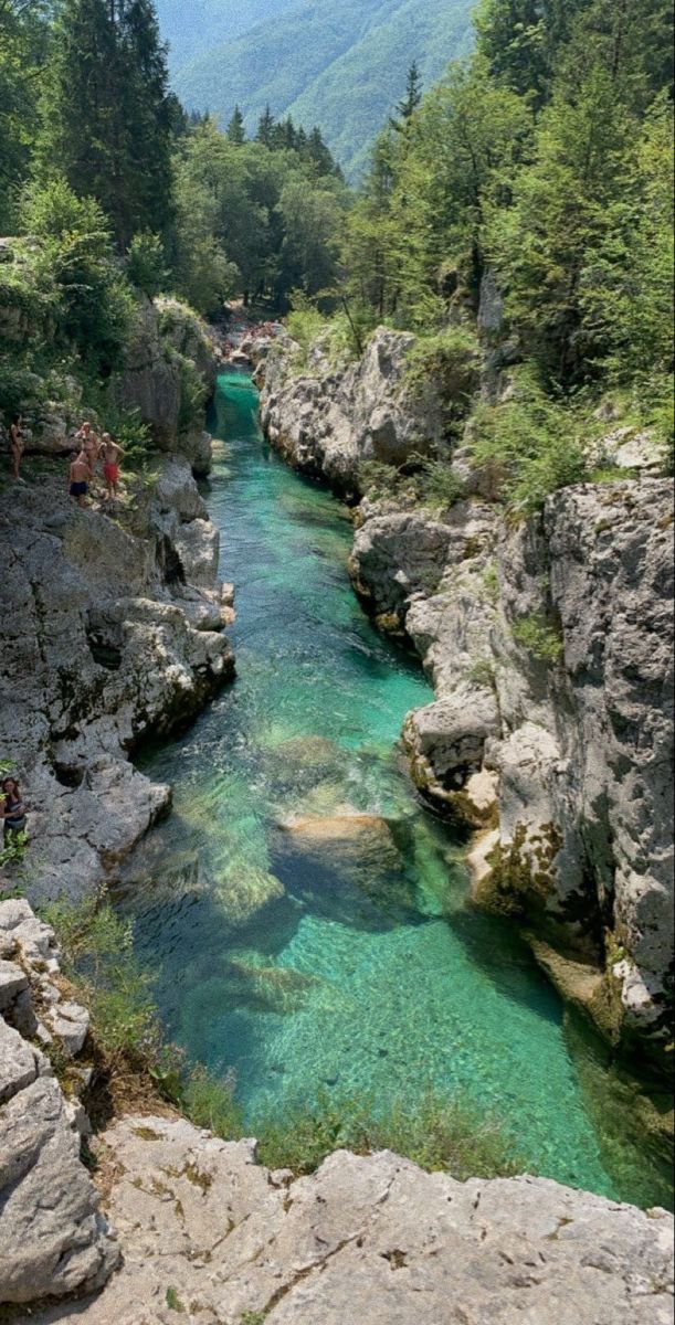 KlaraPrevc1's tweet photo. Poletje v Sloveniji ima prav poseben čar – dolgi dnevi, prijetni večeri in trenutki, ki jih želiš ohraniti za vedno. ☀️✨
#Slovenija #Poletje #PoletniDnevi #Potovanja #Slovenia https://t.co/JhRnc18Y89