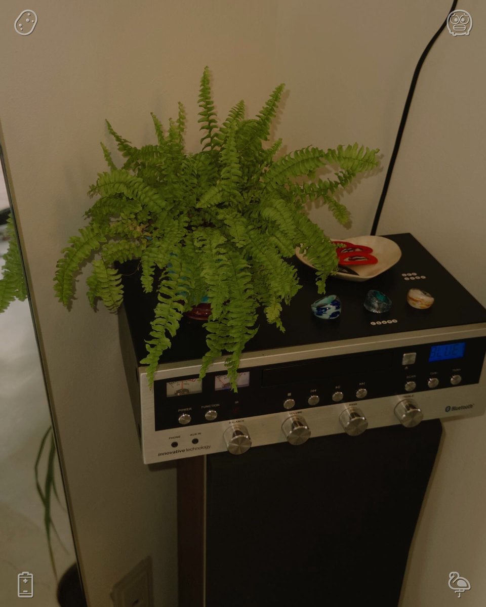 joenomoto's tweet photo. A cat perches on the windowsill. Clara pauses beside a cluster of daisies, whose ivory blooms radiate under the sun's rays. She stoops, lightly brushing a petal—delicate and silky—then rises and resumes her stroll. https://t.co/P3AyUeivlL