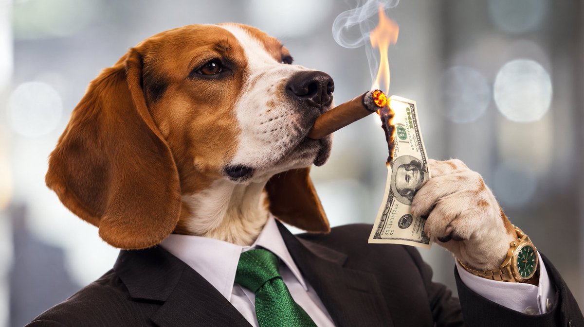 DividendHoundRH's tweet photo. It's simple

Just be a Dividend Hound. https://t.co/byF2CtWpsd