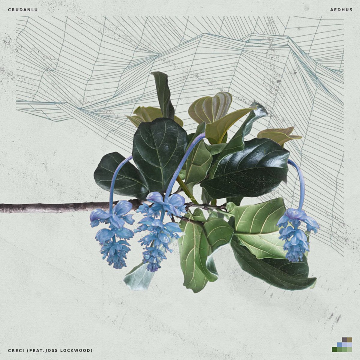 acidstag's tweet photo. @crudanlu teams up with @aedhusmusic and @josslockwood for ‘Creci’, an atmospheric cut blending left-field electronic textures with baile funk and Latin rhythms 🌴 🎶

Listen: https://t.co/c8hgEvLk0n https://t.co/TsK0UKcZBA