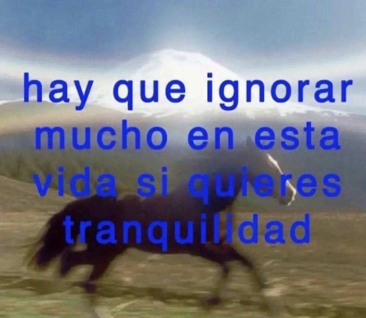 conoloracigarro's tweet photo. mucho https://t.co/5oq1QCRMDJ