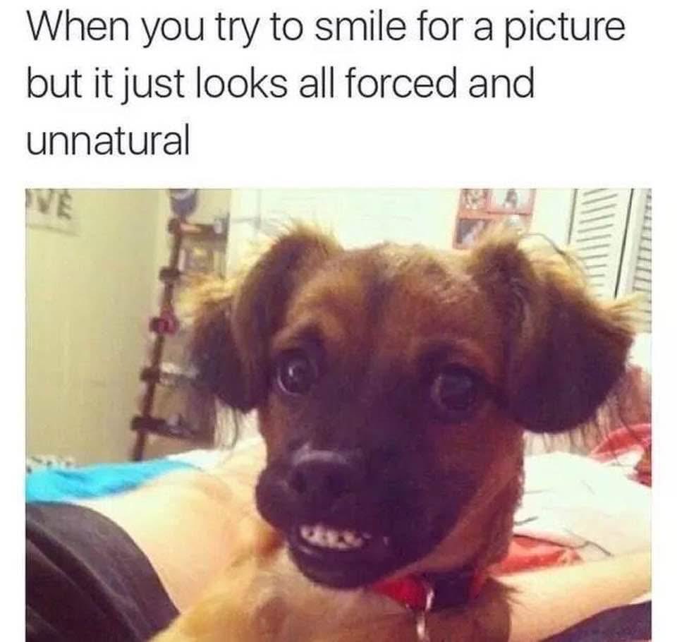 HeatherJ2652's tweet photo. 🤭😂🤣💙 https://t.co/n1KEXDUT0k